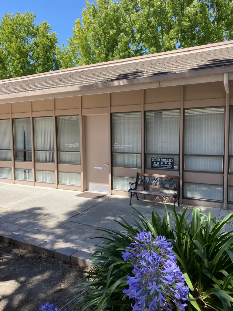 The front of the office: tan wood panels, tall windows, a bench and blue agapanthus beside the brick walk